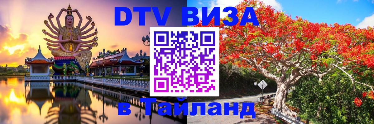 Оформление DTV визы под ключ: стоимость и тарифы, только загранпаспорт - 